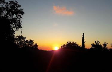 Alexia's house - Foto 22