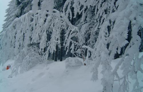 Michałówka Michaelhof - Foto 33