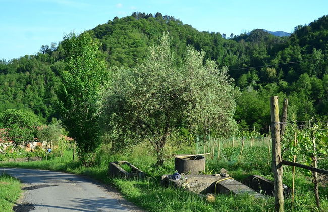 Belvilla by Oyo Pradaccio - Foto 38