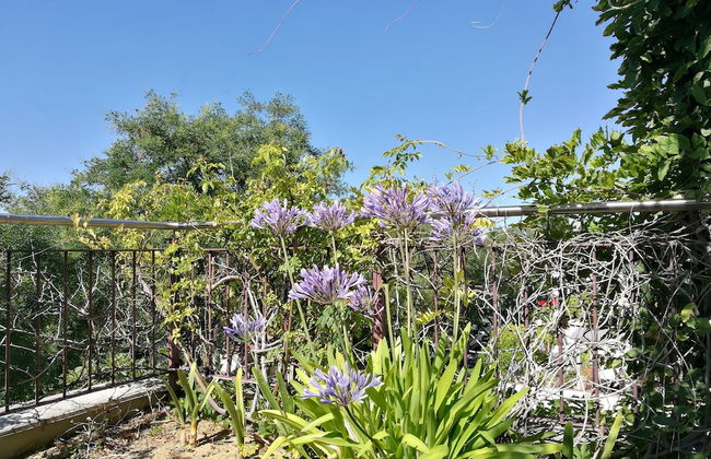 Casa Las Viñas - Foto 20