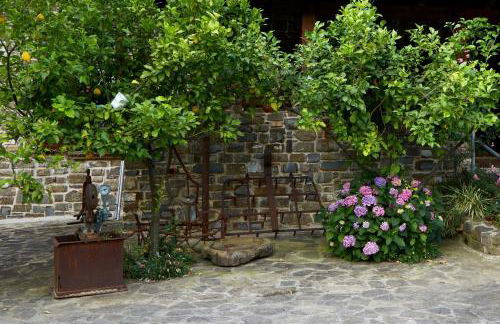 Il Vecchio Frantoio - Foto 70