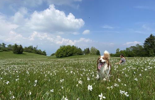 Casetta dipinta Fattoria dei fiori - Photo 63