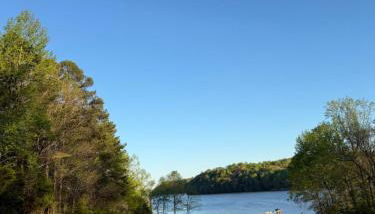 Turkey Creek Cabin Rentals #2 at Tims Ford lake - Foto 4