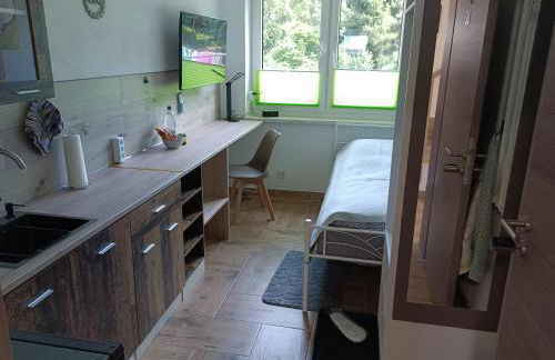 Ferienhaus hERZgebirge - Foto 8