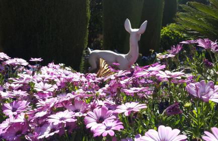 El jardín de la abuela - Foto 37