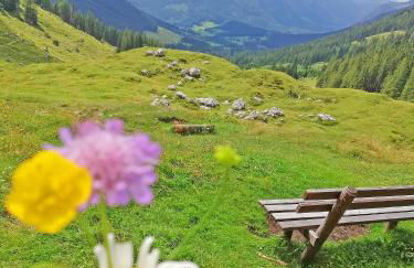Ferienwohnung Beim Raffner - Foto 12