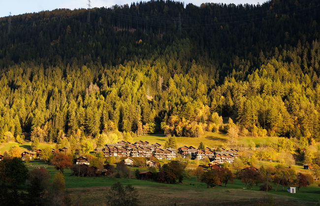 Aragon M88 - Foto 48