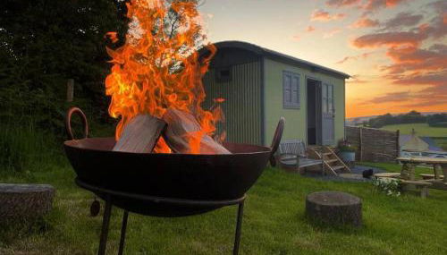Luxury Shepherd Hut on small South Hams farm, Devon - Foto 5