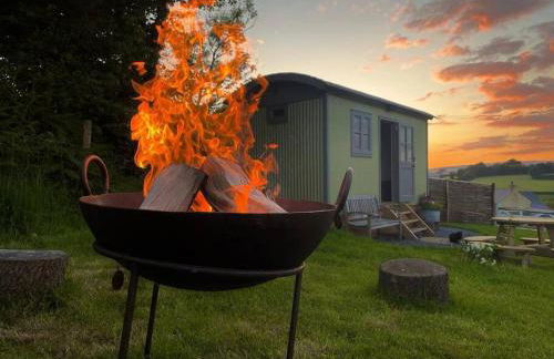 Luxury Shepherd Hut on small South Hams farm, Devon - Foto 5