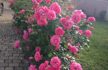 Rose Garden Studio - Foto 20