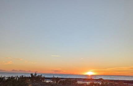Appartement sur la plage - Photo 19