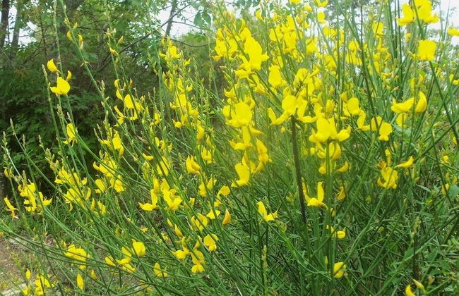 Agriturismo A Veggia Vigna - Foto 33