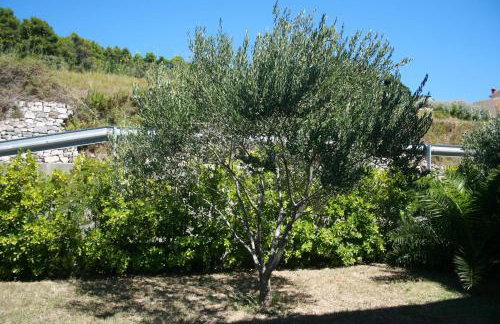 Apartments Neda - Photo 24