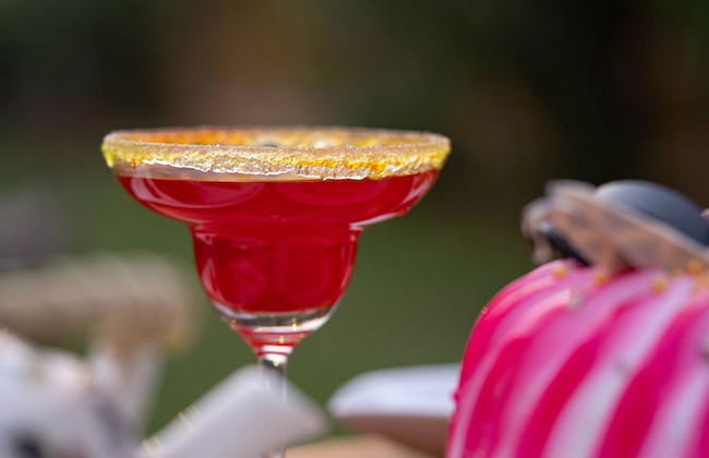 Chokhi Dhani The Palace Hotel - Foto 68