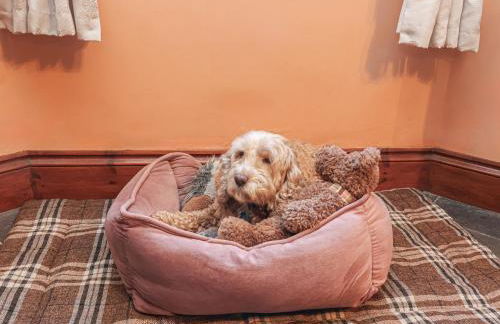 Old Farm Cottage - Foto 8