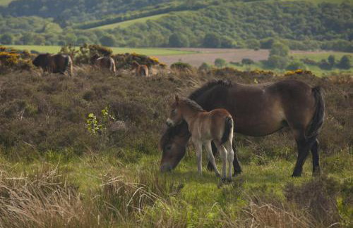 1 Lower Spire - Foto 22