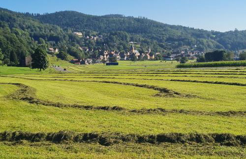 Le Chalet du Tanet spa sauna terrasse en Alsace - Foto 31