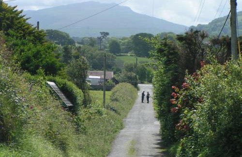 Pen Llyn Quarryman's Cottage - Foto 11