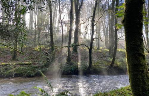 Willow Lodge, Wolfscastle - Foto 43