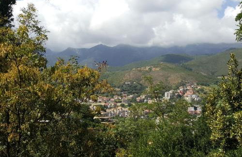 Casa Berizzi Mare - Arenzano Pineta Centro - Foto 38
