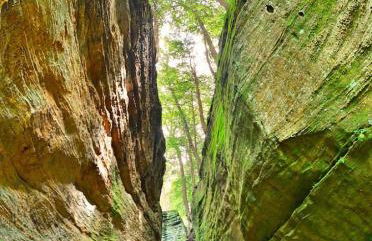 Lakefront Vibes Lake Access•Hot Tub•Firepit•Pets - Foto 136