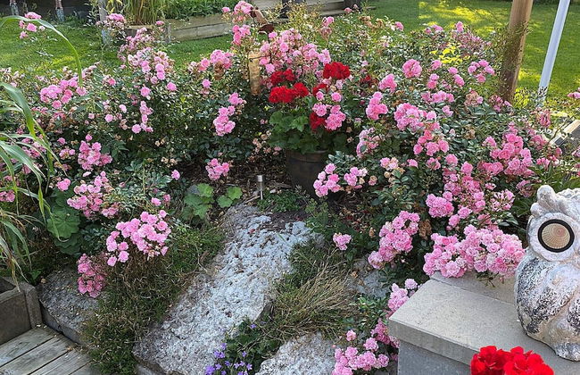 6 Person Holiday Home in Hallekis - Photo 27