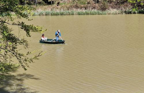 Domaine des Aulnaies - Beauval - Mareuil sur Cher - Foto 6
