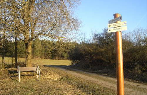 Panorama Ferienwohnungen Thiem - Foto 33