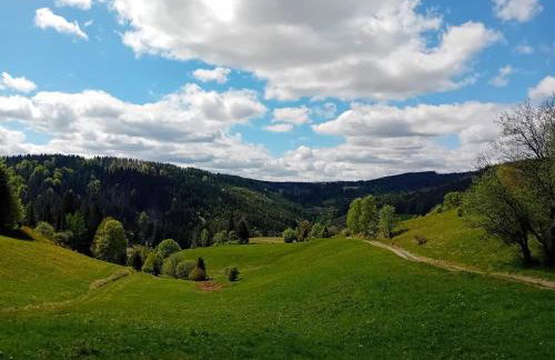 Lauschablick FeWo Thüringen - Foto 14