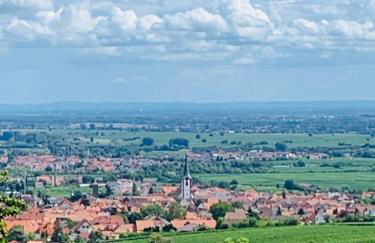 Ferienwohnung Vino Palatina - Foto 28