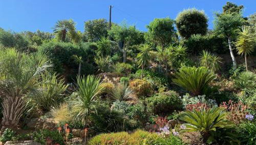 Villa Cigales - Foto 4, Garden view