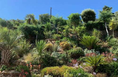 Villa Cigales - Foto 4