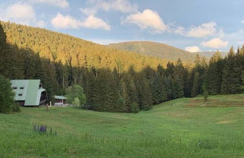 Natur pur im Nationalpark Schwarzwald - Foto 14