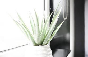 Calgary House - Foto 7