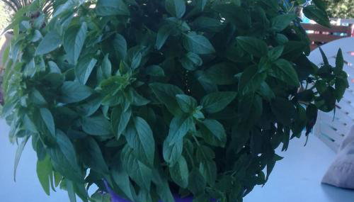 Sea view villa - Foto 5