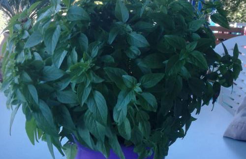 Sea view villa - Foto 5