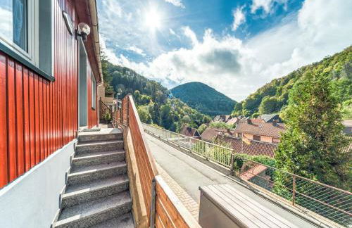 Gemütliche Ferienwohnung bei Braunlage - Foto 8