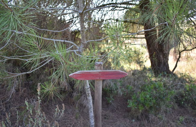 Monte Sardinha - Foto 71