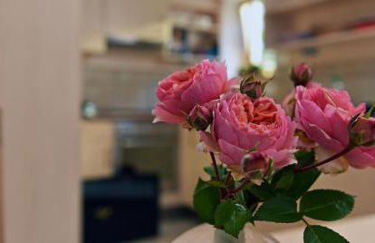 Landgut Moralthof - Foto 8