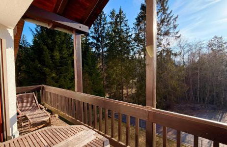 Waldapartments Titisee - Foto 69