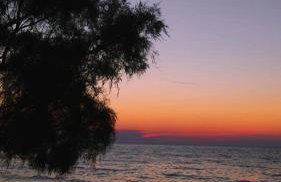 ΜΕΣΤΑ - ΠΛΑΤΕΙΑ - Photo 2