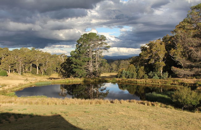 Wines for Joanie Cottage - Foto 20