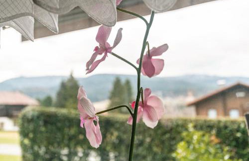 Ferienwohnung Im Lamer Winkel - Foto 16