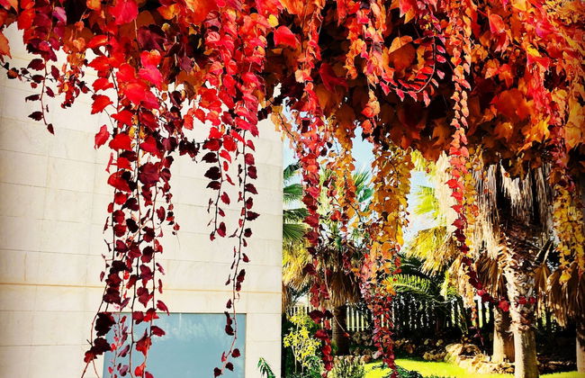 L'Escala Resort - Foto 33