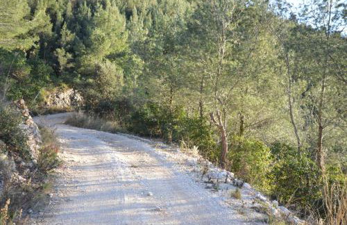 Robinson house Orlandusa - Foto 35