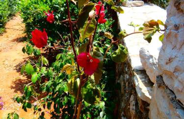 Volta Stonehouse Apartments - Foto 45