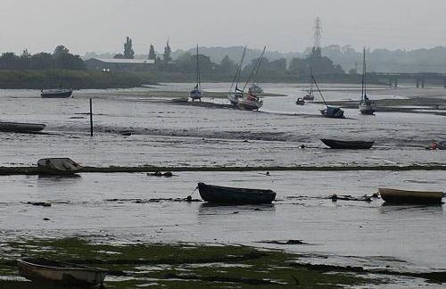 The Bird House at Woodburn Cottage - Foto 9