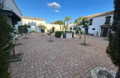 Cortijo Pavia - Photo 12