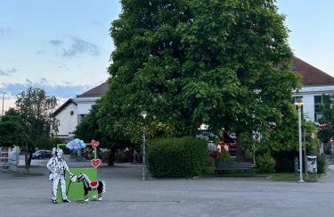 Apartman ZABOK CENTAR - Foto 40