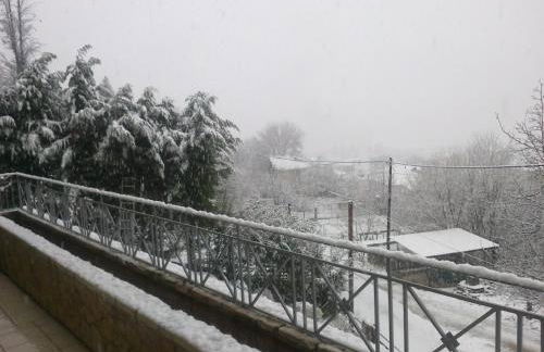 Six Steps From The Forest - Photo 24